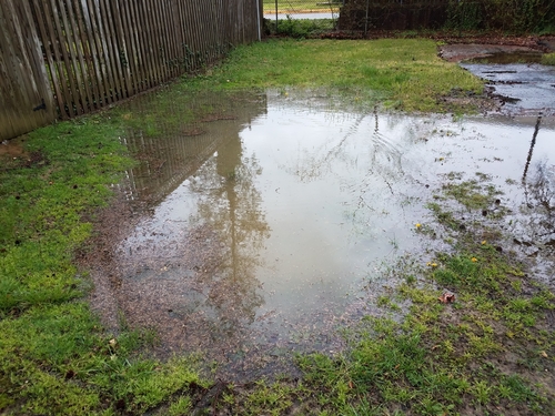 Yard Drainage in Staten Island | Yard Flooding Solutions